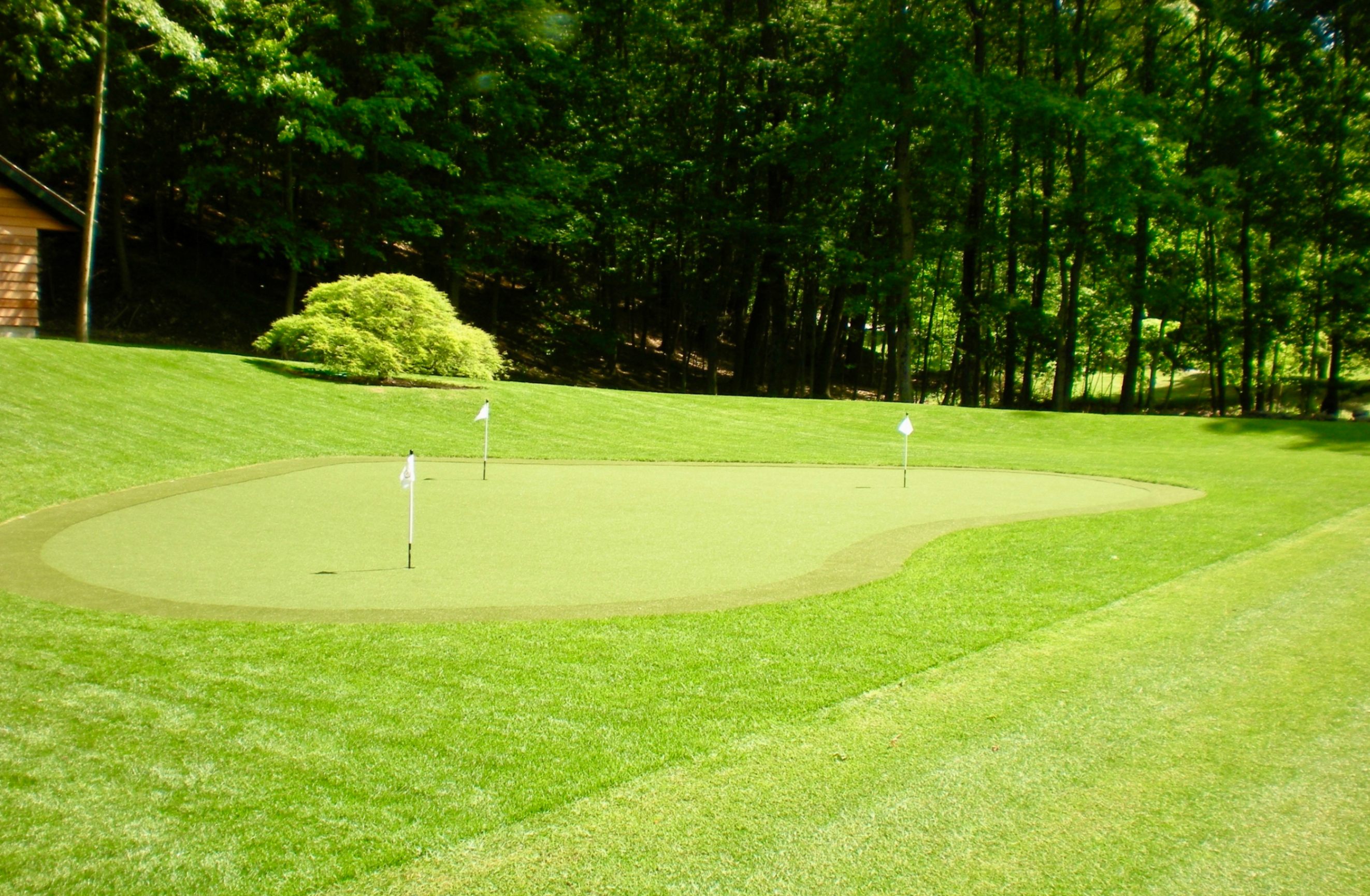 jpeg-optimizer_DSCN0624